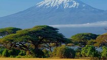 6 Days Kilimanjaro hike