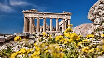 Private Tour: Acropolis Mythology & Food Walk Tour