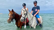 Horseback Riding in Hurghada with Private Transfer