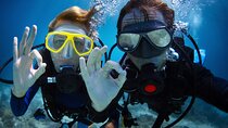 Alanya Scuba Diving Includes Lunch and Transfer for Beginners 