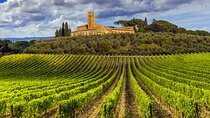 From Florence: Siena and Chianti WineTour with Lunch
