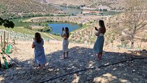 Tour to the Douro Valley from Porto 2 wineries, lunch and boat