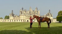 Wine tasting tour in Loire Valley with castle visits and lunch