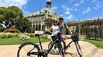 Tigre & Delta Bike Tour