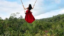 Aloha Swing : Exhilarating The Best Swing Experience in Ubud