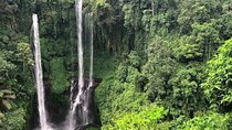 Discover Sekumpul and Banyumala Waterfall Adventure Tour