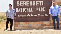 4 Days Serengeti and Ngorongoro Joining Group Mid-range Safari