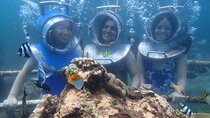 Private Underwater Walking Experience in Nusa Dua
