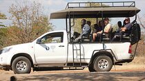 Game Drive and White Rhino Walking Safari in Livingstone