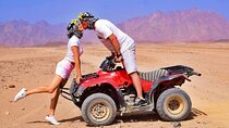 Private Quad Bike Adventure in Hurghada Desert