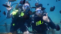 Private Diving Experience in Nusa Dua with Hotel Pick Up