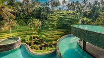 CRETYA Ubud infinity Pool + Hidden Water fall + Water Temple Tour