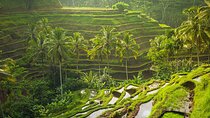 Bali Customized Private Tour 