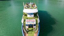 Hercules Luxury Cruise Halong 1 Day Trip from Hanoi by Expressway