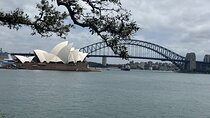 Sydney Half Day Luxury Private Tour 