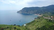 Accessible and Hassle-Free Cinque Terre Private Tour from Livorno
