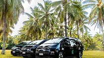 Palm Cove to/from Cairns ONE WAY Private Transfer 6 pax