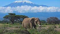 3 Days Group Joining Safari to Amboseli National Park
