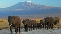 Group Joining Overnight Safari Amboseli from Nairobi