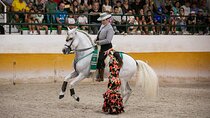 Andalusian Horses and Flamenco show with transportation