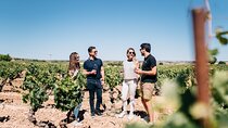 Wine Tasting, Tapas & Spanish Villages Tour from Madrid