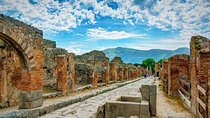 Pompeii, Herculaneum and Wine Tasting Tour - Private Tour 
