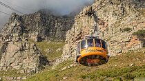  Table Mountain and Robben Island Private Tour