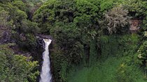 Road to Hana Full Day Tour with A Guide