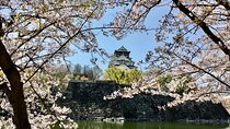 Half-Day Private Guided Tour to Osaka Castle

