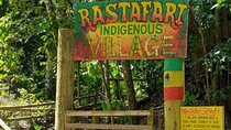 Private Rastafarian Indigenous Village Tour from Montego Bay