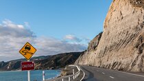 Great Ocean Road In 8 Hours Express Private Tour