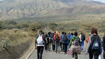 Mount Longonot Full Day Hiking and Trekking 