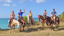 Horseback riding along Macao beach from Punta Cana