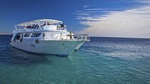 Ras Mohamed & White Island Snorkeling & Diving - Sharm El Sheikh