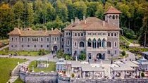 Peles Castle, Cantacuzino Castle and Bran Castle Tour From Brasov