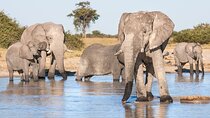 3-day trip to Victoria Falls and Chobe Safari