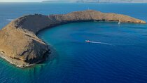 Molokini Crater Snorkel Adventure 2 Hours - From Kihei