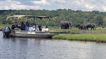 Full-Day Chobe Safari Tour Botswana 