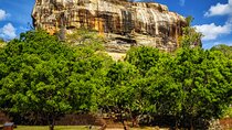 Colombo to Sigiriya Private Transport with Sightseeing 