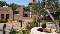 Private Full Day City Tour in Abu Dhabi - From Abu Dhabi