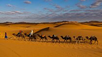 4 Days Desert Safari Tour from Marrakech to Merzouga