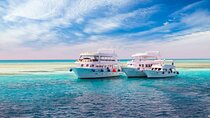 Hurghada Snorkeling Adventure at Dolphin House with & Lunch