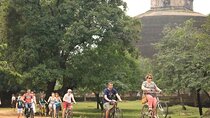Polonnaruwa Ancient City Cycling Tour from Sigiriya or Dambulla