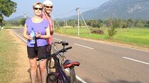 Dambulla and Sigiriya Cycling Tour from Negombo