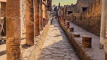 Pompeii Excavations Tour-Wine Tasting with Lunch from Positano