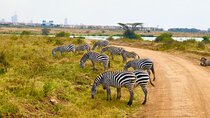Nairobi National Park Private Half Day Tour