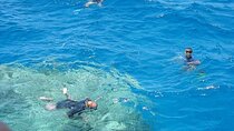 Marsa Mubarak Snorkeling Trip with One Introductory Dive