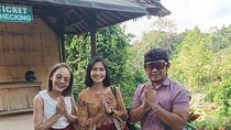  The Best Highlight Ubud Tour 