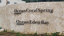 Ocean Eden Bay and Coral Spring Private Airport Transfer