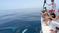 Marbella sailboat rental, dolphins, drinks and snacks -3 hours